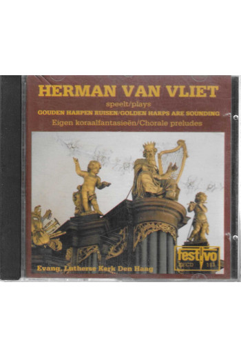 Herman van Vliet - Gouden...