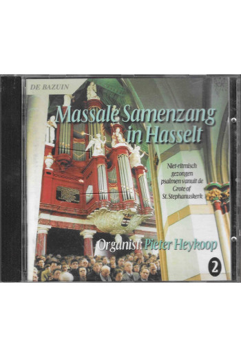 Pieter Heykoop - Massale...